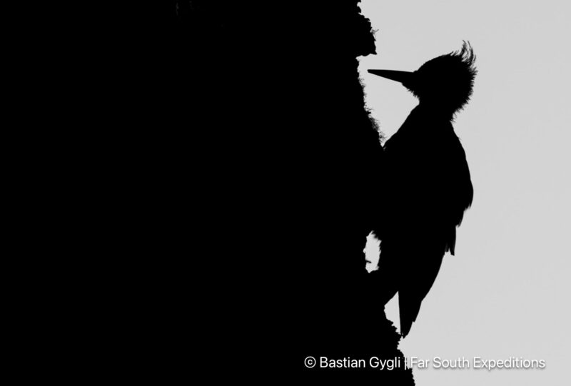 navarino island explorer trip