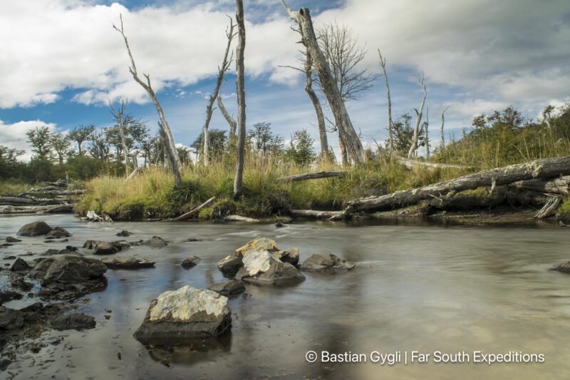 navarino island explorer trip
