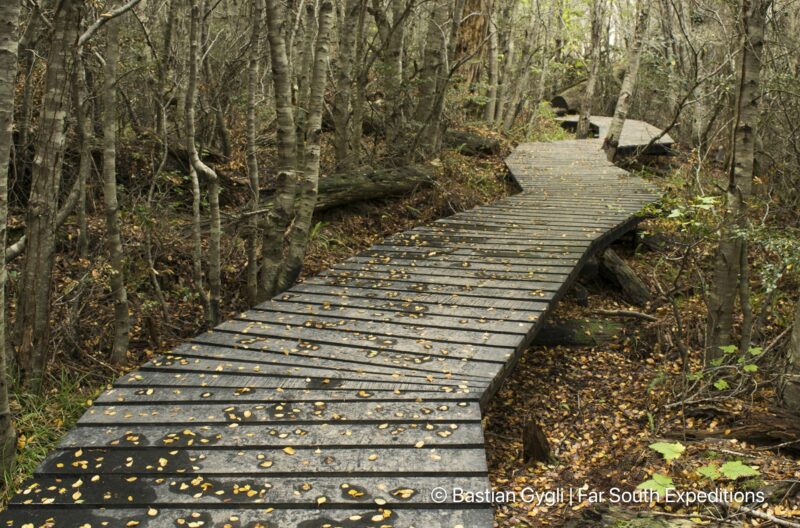 navarino island explorer trip